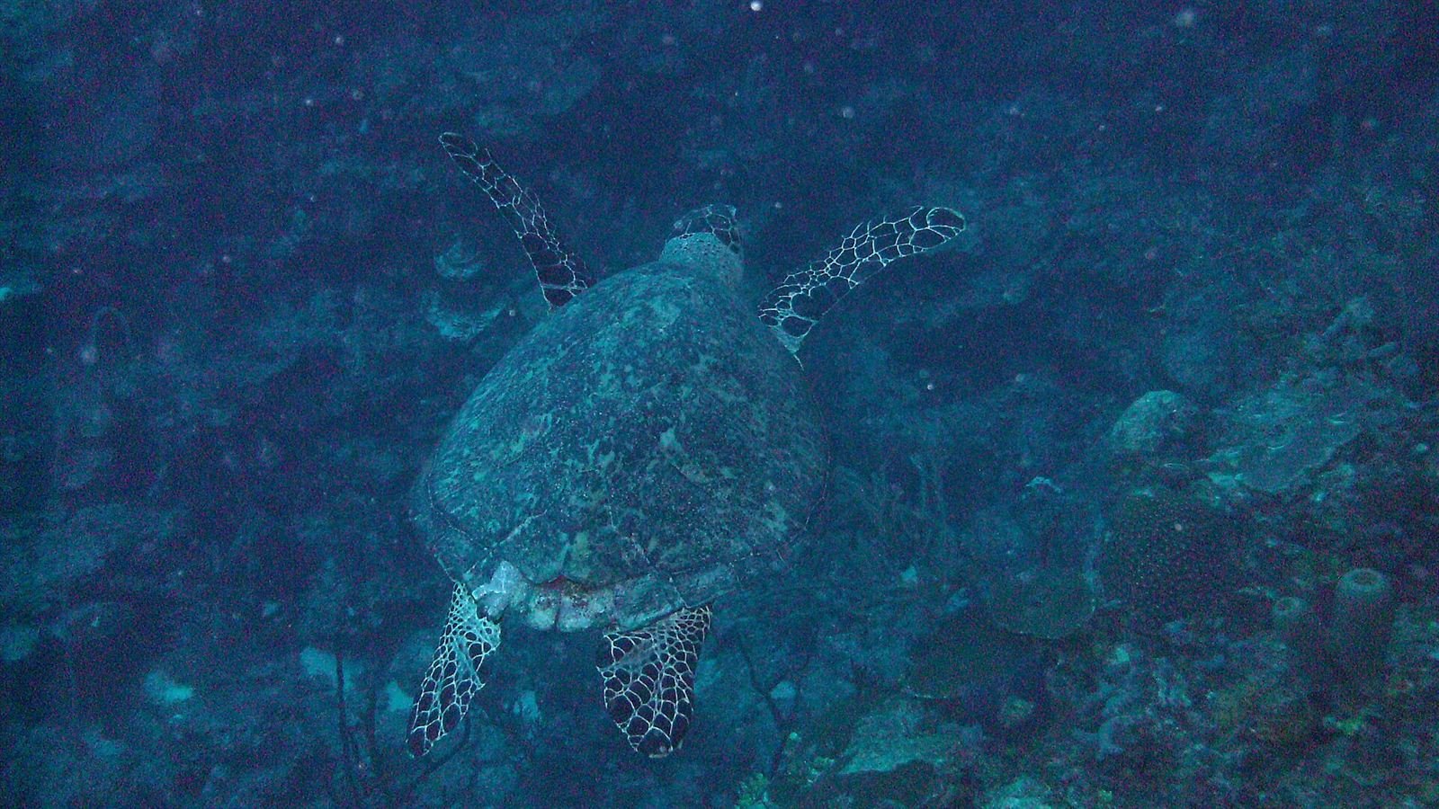 Akumal · 25 km